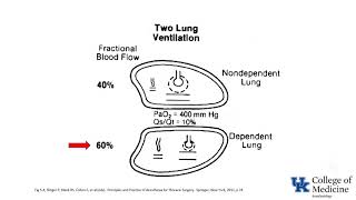 Respiratory Physiology Ventilation Perfusion Ratios  Dr Bowe [upl. by Ettevroc914]