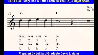 SOLFEGE Mary Had Little Lamb in the DoC Major Scale SIGHTSINGING amp TRANSPOSITION [upl. by Ecissej288]