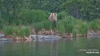 903 Gully amp 901 River Watch 2024 06 27 exploreorg [upl. by Nwahsud]