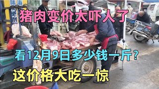 猪肉变价太吓人。看12月9号多少钱一斤？这价格大吃一惊 [upl. by Candie]