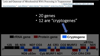 FP10 Biology is Not Significantly Lineage Specific [upl. by Llenrup]