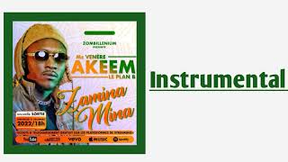 Akeem Zamina Mina  Instrumental [upl. by Ardnuas]