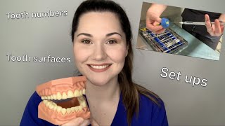 Dental assisting 101 The basics [upl. by Yeldar]