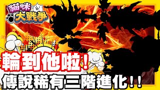 《哲平》手機遊戲 貓咪大戰爭  今天要來進化啦 既貓咪龍城第二隻傳說稀有  宮本武藏 三階進化 [upl. by Nilde72]