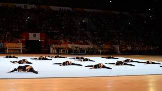 Kokushikan University Japanese Evning World Gymnaestrada 2015 [upl. by Ailalue]