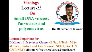 Virology Small DNA viruses parvovirus and polyomavirusaktu virology by Dheerendra Kumar [upl. by Fritzsche330]