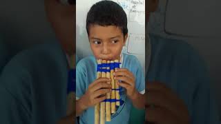 Elaboración de instrumentos musicales con matetiales reciclados 7 [upl. by Haberman]