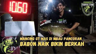 GALATAMA IKAN MAS  PEMANCINGAN MBAU PANCORAN  BABON 10kg BIKIN BERKAH [upl. by Bourne794]