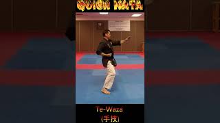 Kata Tutorial TeWaza karate karatekata tewaza [upl. by Seraphina]