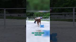 First time mounting a young horse younghorse coltstarting horsetraining horseriding [upl. by Eudoxia]