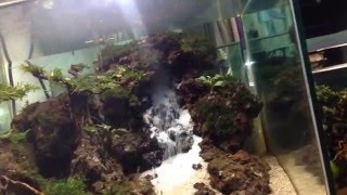 aquascape waterfall low cost [upl. by Acinok]