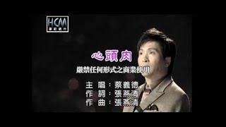 蔡義德心頭肉官方KTV版 [upl. by Aneehsal]