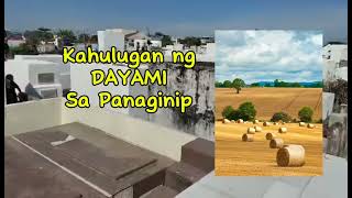 KAHULUGAN NG DAYAMI SA PANAGINIP [upl. by Aube]