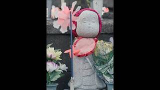 Nejsmutnější místo Japonska 🫣 jizo zojoji tokyo [upl. by Nylekoorb]