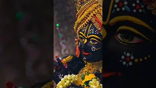 Jai Shree Krishna 🙏🌹🥰 radhakrishna krishnabhajan krishnastatus shorts youtubeshorts [upl. by Qooraf]