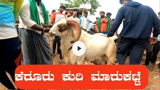 Kerur Sheep and Goat Market is held every Tuesday Update [upl. by Reld102]