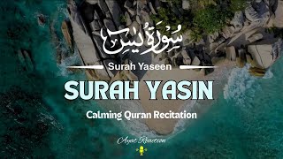 Surah Yasin Yaseen  سورۃ یس Heart Soothing Recitation  AYAT Reaction [upl. by Nahtaj818]