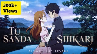 Tu Sanda Shikari Nazar Baz Hae  TikTok Viral Song  Slowed Reverb  Lofi Song [upl. by Htebi860]