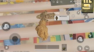 PUBG MOBILE  Ghillie suit dark brown and desert Location in training mode [upl. by Notlef]