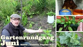 Gartenrundgang Juni 2015 Hühner Küken aus Naturbrut  Tomaten  Süßkartoffeln  Mulchen [upl. by Aicemak]