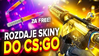 🤑ROZDAJE SKINY DO CS2 CO PARE MINUT🤑 [upl. by Isis475]