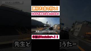 （バイク女子）しまなみ海道で先生と出会った！！ automobile ホンダ ホンダゴリラ モンキー ツーリング gopro バイク女子 スズキレッツ4原付き原チャリ110cc [upl. by Ellekcim581]