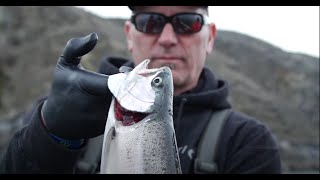 Trophy TROUT amp KOKANEE on Lake Roosevelt  Planer Boards Bait amp Trolling Techniques  PART 1 of 2 [upl. by Sadowski]