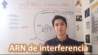 ARN de interferencia microRNAs Nivel principiante EN 4 MINUTOS [upl. by Loris]