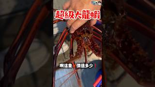 太平洋釣蝦場🦐釣🈵三桶大龍蝦🦞小朋友都驚呆了😱【小龍開箱】 [upl. by Cassil]