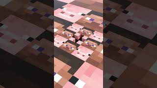 Steve Pig Illusion minecraft [upl. by Echo349]