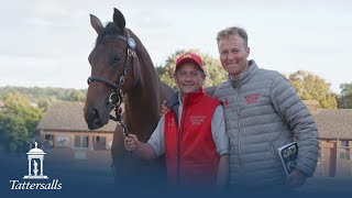 Tattersalls October Yearling Sale Book 1 Day 3 Review 2022 [upl. by Eppesiug526]