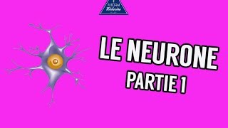 Le Neurone Partie 1 [upl. by Daffi]