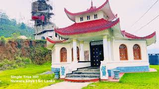 Single Tree Hill  Nuwara Eliya  Sri Lanka [upl. by Anyak67]