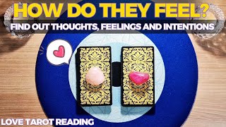 NO CONTACT How do They Feel about you now  Timeless Love Tarot Reading [upl. by Paton]