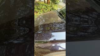 How to remove dust from cars in seconds kiacarensreview dustcleaning carhealth waterlesscarwash [upl. by Haneekas262]