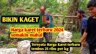 BIKIN KAGET‼️TERNYATA HARGA KARET NAIK LAGI Di prediksi harga Karet akan semakin mahal [upl. by Itsirc411]