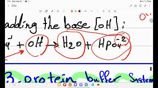 Buffer Systems in body part 2 [upl. by Notsur35]