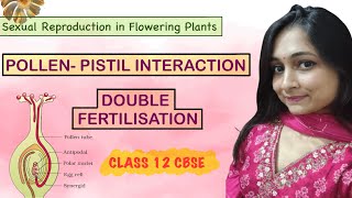 Pollen Pistil Interaction Double Fertilisation and Artificial Hybridisation [upl. by Mamie]