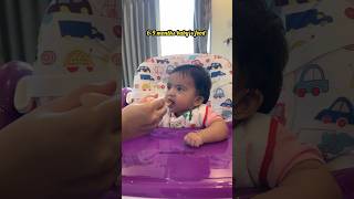 69 months babies food baby babysfirstfood 6monthsbaby 6monthbabyfoods cerelac cerelacrecipe [upl. by Eizle]