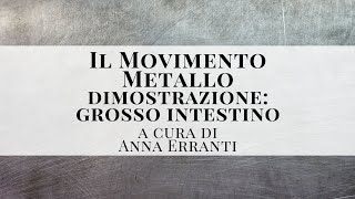 IL MOVIMENTO METALLO GROSSO INTESTINO  La Riflessologia Plantare a cura di Anna Erranti [upl. by Lleder857]