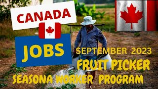 CANADA 🇨🇦 SEASONAL WORKER PROGRAM  SEPTEMBER 2023SERIES 1 [upl. by Gnel]