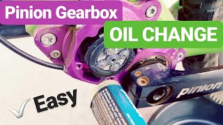 PINION GEARBOX OIL CHANGE  How to change P112 oil  EASY [upl. by Asiela]