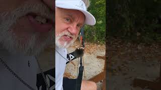 NEWBIE BAREBOW HUNTERS USE brush amp AVOID HORIZONTALmovements 5 simple steps [upl. by Wendy]