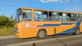 Ikarus 28033 АЕ 740 64 10 июля 2022 Саратов Прибытие автобуса на конечную станцию [upl. by Vidda]