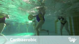 Caribaerobic [upl. by Jehoash]