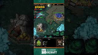 66 Minimap Options amp Settings 🗺🛠  Warcraft III Academy [upl. by Imaj]