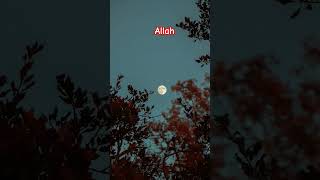 Ya rabbi allah nature music trending viralvideo shortvideo mubarak shorts subscribe [upl. by Nyrraf]