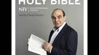 David Suchet NIV Bible 0444 Job 8 [upl. by Iglesias]