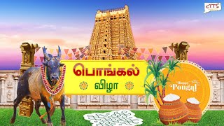 Pongal Vizha 2024  Programs by Bharathi Tamil School organized by CT Tamil Sangam [upl. by Lull]