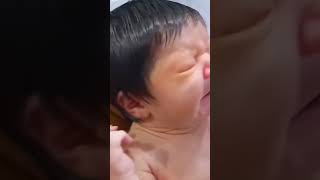 Newborn baby sneezing😪 short [upl. by Assilem]